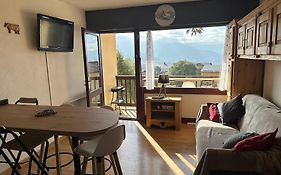Les faons au soleil